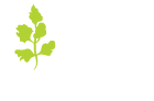 The Coriander Oakwood logo